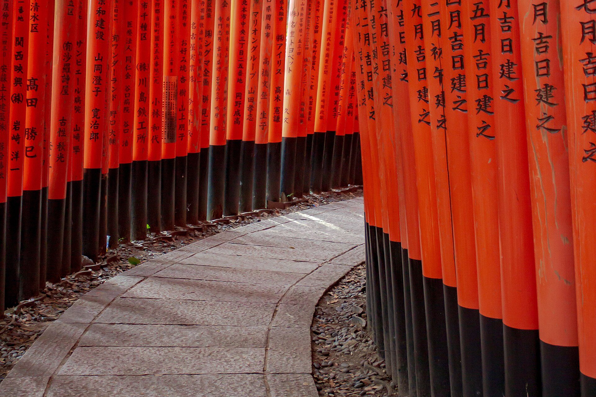 Kyoto in the Quiet Register: Arashiyama’s bamboo, the light at Rurikō-in, and a thousand years of temples
