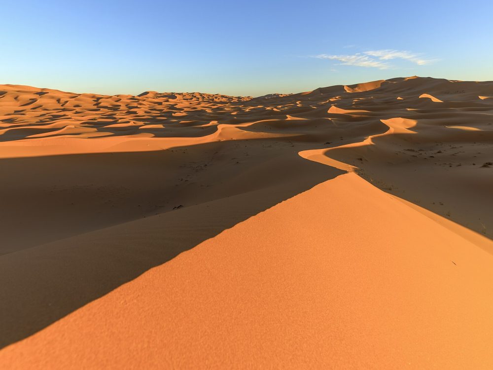 Wind texture across the dune field