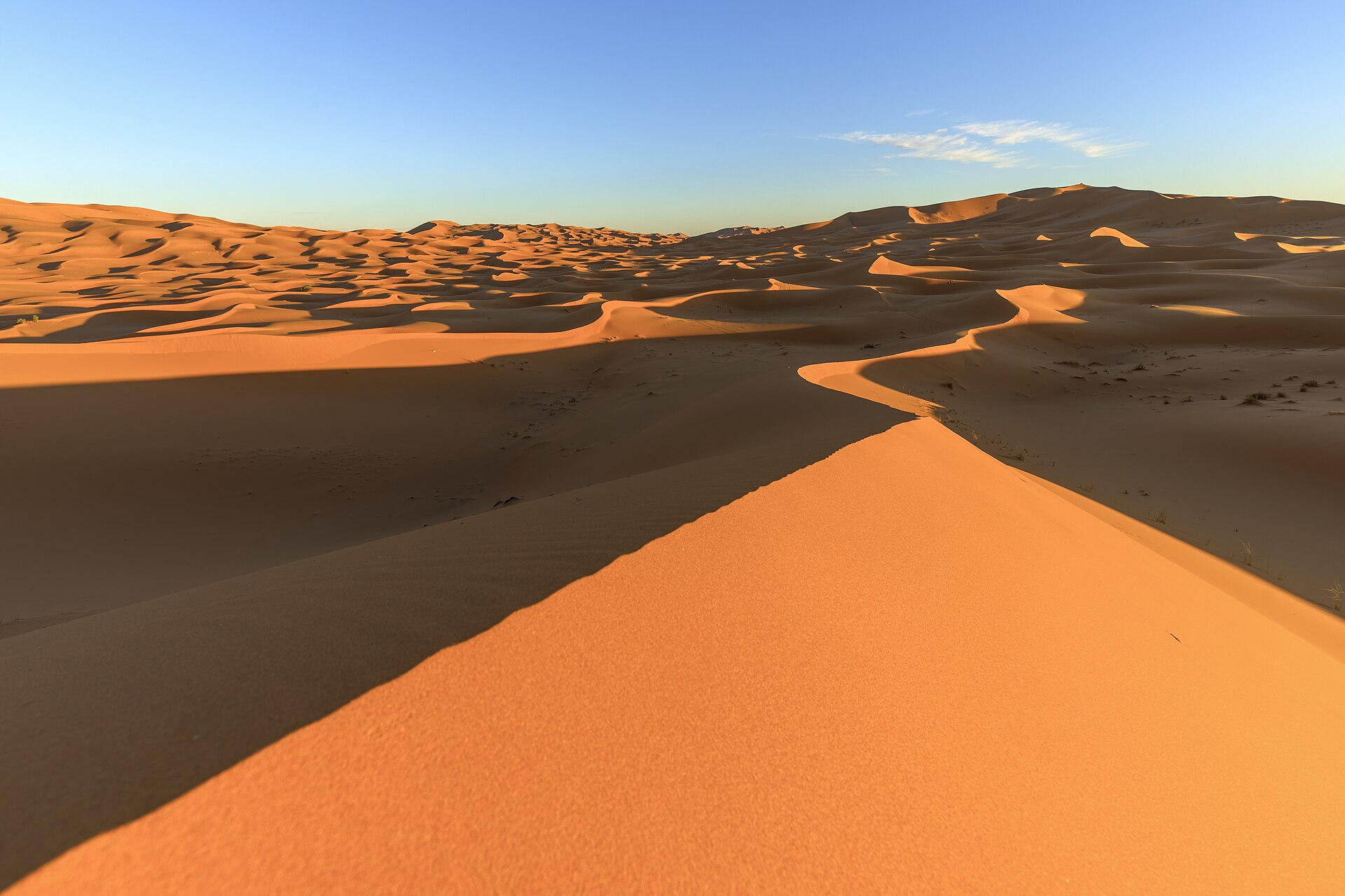 One Thousand and One Nights: a Berber camp on the gold dunes of the Sahara