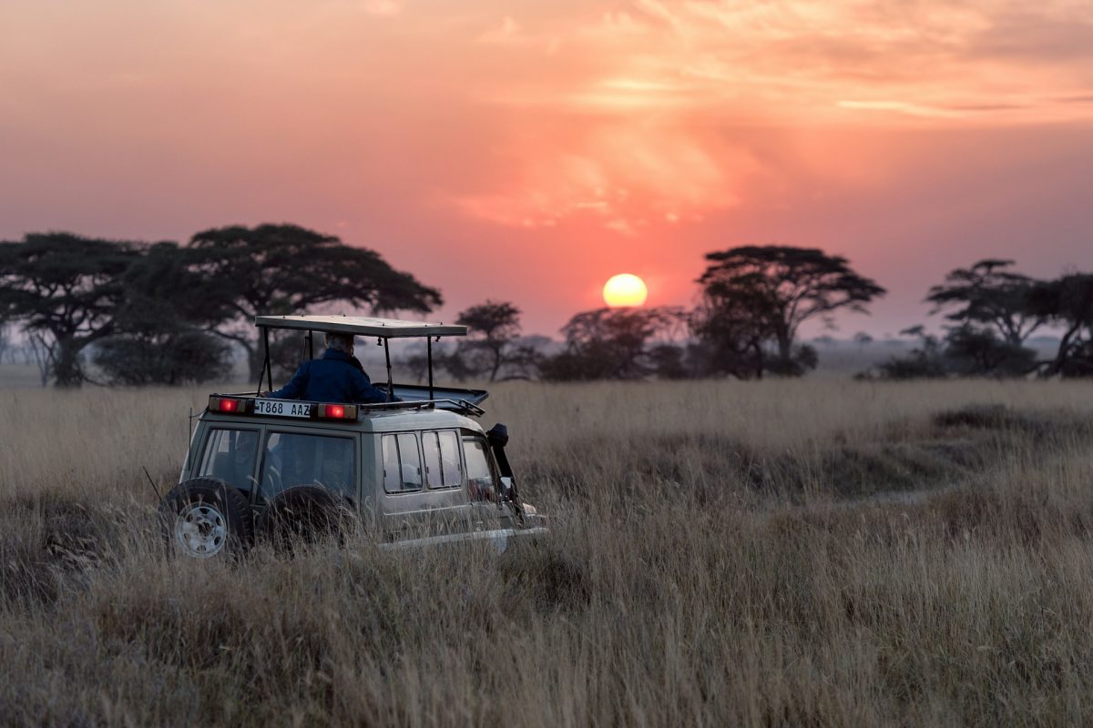 Tanzania · the Serengeti