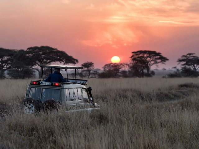 Serengeti